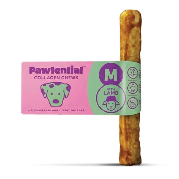 Pawtential Collagen Chew with Lamb