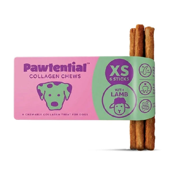 Pawtential Collagen Chew with Lamb