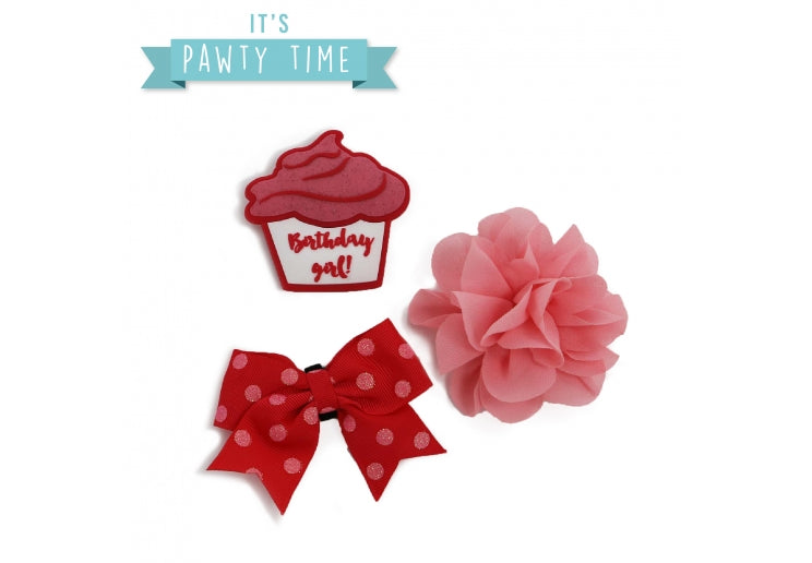 Birthday Collar Accessories - Ancol