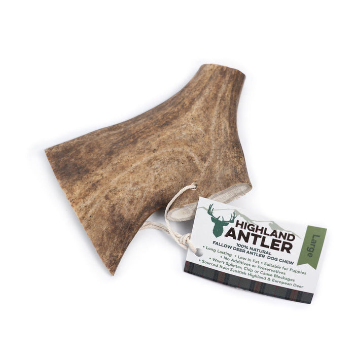 Nova Fallow Antler Large