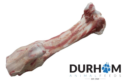 Jurassic Bone - DAF