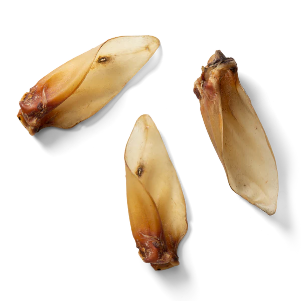 Buffalo Ear