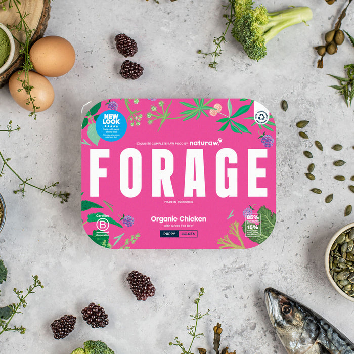 Forage Puppy Chicken - Naturaw