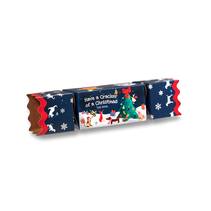 Christmas Cracker - Green & Wilds