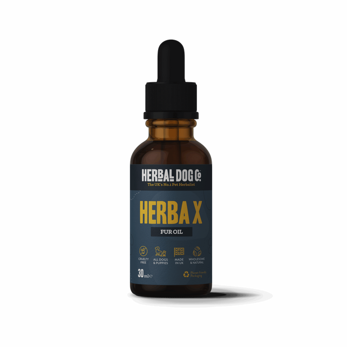 Herba X Tonic - Herbal Dog Co.