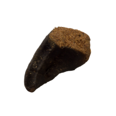 Filled Hoof
