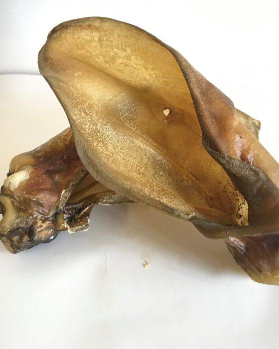 Buffalo Ear