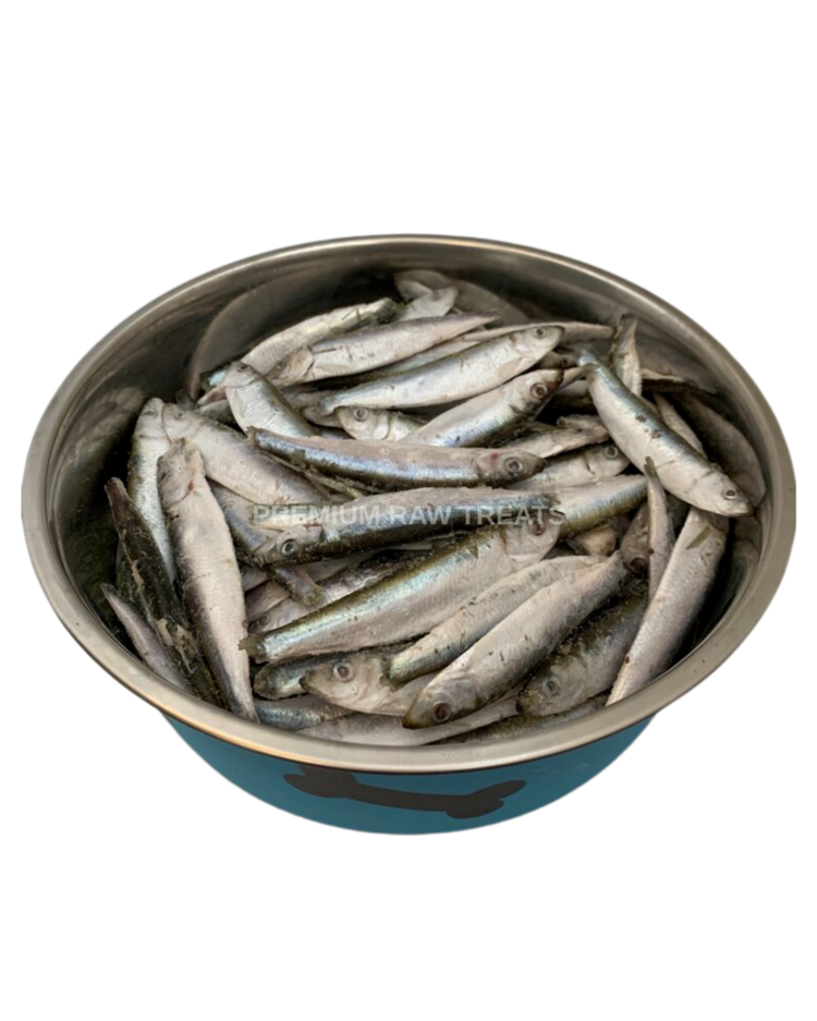 Fish